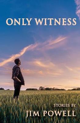 Book cover for Only Witness