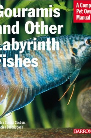 Cover of Gourami and Other Labyrinth Fishes