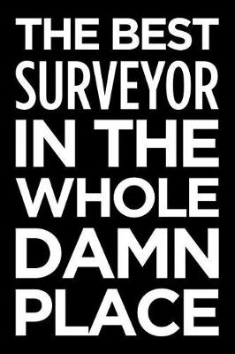 Book cover for The Best Surveyor in the Whole Damn Place