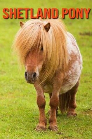 Cover of Shetland Pony