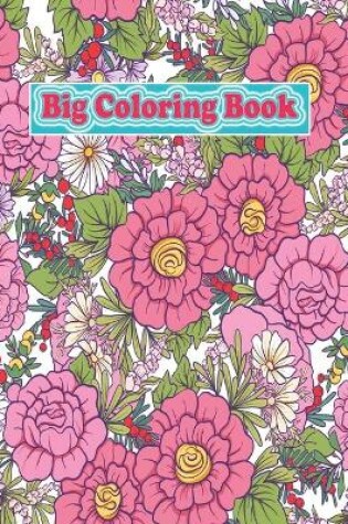 Cover of Big Coloring Book