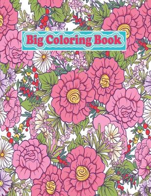 Book cover for Big Coloring Book