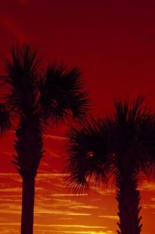 Cover of Silhouettes of Palm Trees Against a Red Sunset Journal