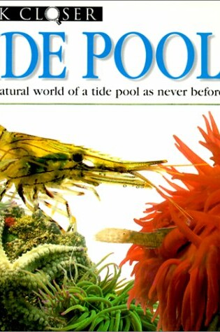 Cover of Tide Pool