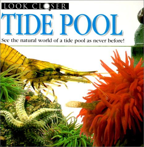 Book cover for Tide Pool