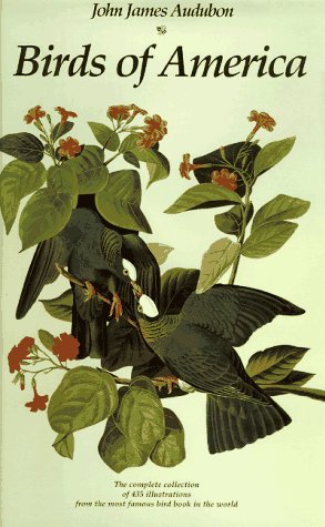 Book cover for Audubon Originals