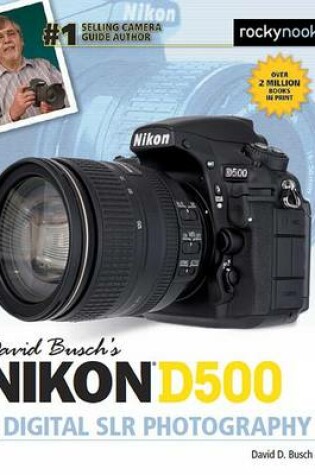 Cover of David Busch’s Nikon D500 Guide to Digital SLR Photography