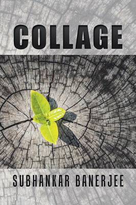 Book cover for Collage