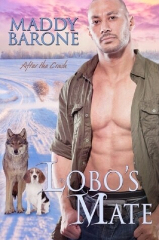 Cover of Lobo's Mate
