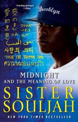 Book cover for Midnight and the Meaning of Love