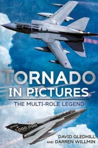 Cover of Tornado in Pictures