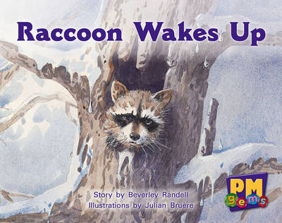 Book cover for Raccoon Wakes up