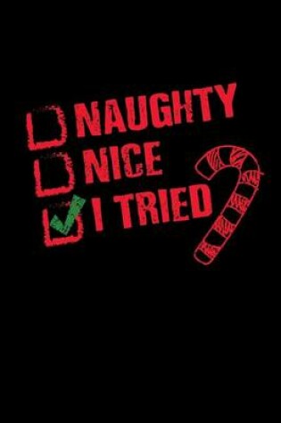 Cover of Naughty or Nice I Tried