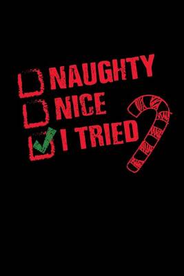 Book cover for Naughty or Nice I Tried