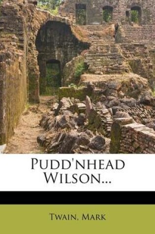 Cover of Pudd'nhead Wilson...