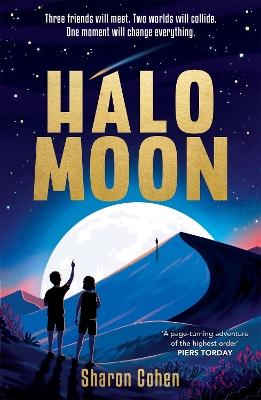 Book cover for Halo Moon