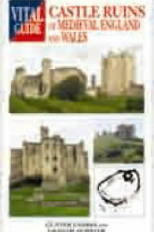 Cover of Castle Ruins of Medieval England and Wales