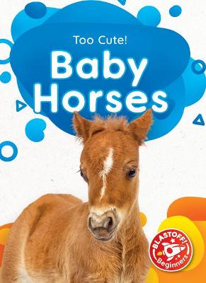 Book cover for Baby Horses