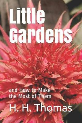 Cover of Little Gardens