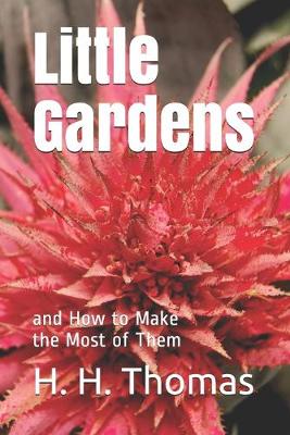 Book cover for Little Gardens