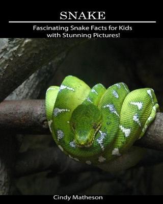 Book cover for Snake