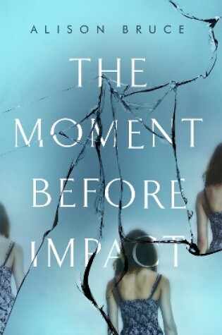 Cover of The Moment Before Impact