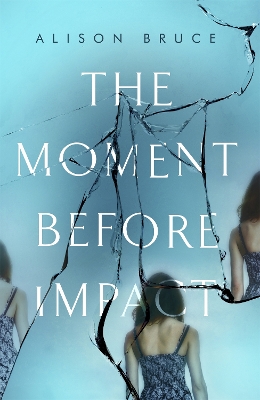 Book cover for The Moment Before Impact