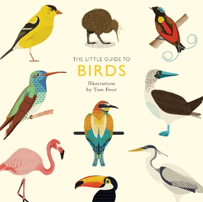 Book cover for The Little Guide to Birds