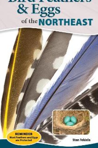 Cover of Bird Feathers & Eggs of the Northeast