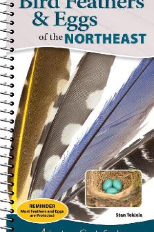 Cover of Bird Feathers & Eggs of the Northeast