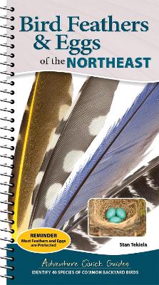 Cover of Bird Feathers & Eggs of the Northeast