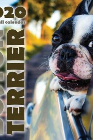 Cover of Boston Terrier 2020 Mini Wall Calendar