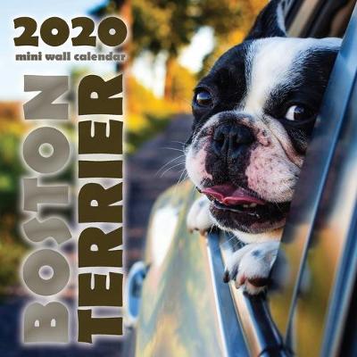 Book cover for Boston Terrier 2020 Mini Wall Calendar