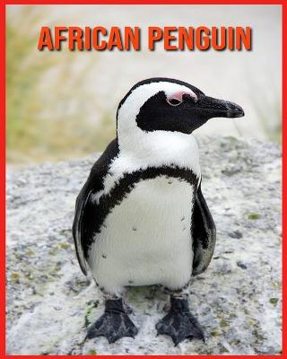 Book cover for African Penguin