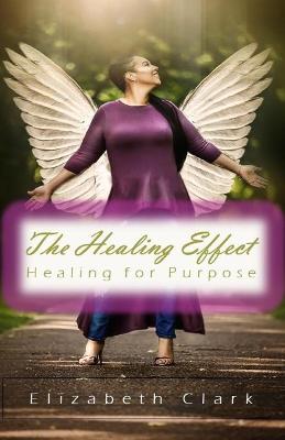 Book cover for The Healing Effect