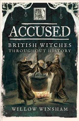 Book cover for Accused