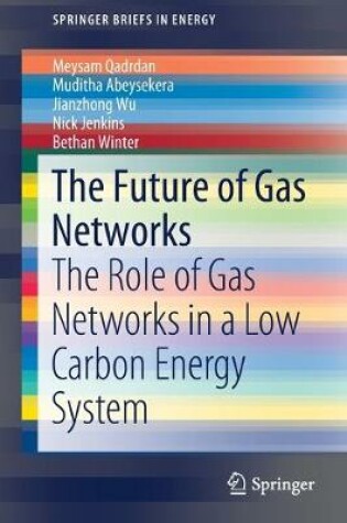 Cover of The Future of Gas Networks
