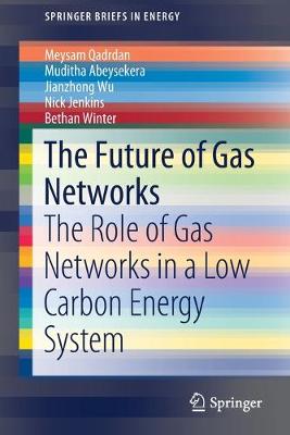 Book cover for The Future of Gas Networks