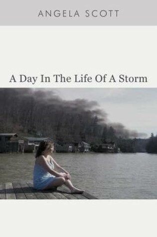Cover of A Day in the Life of a Storm