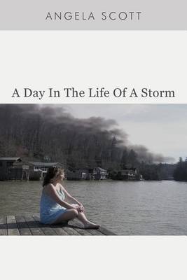 Book cover for A Day in the Life of a Storm