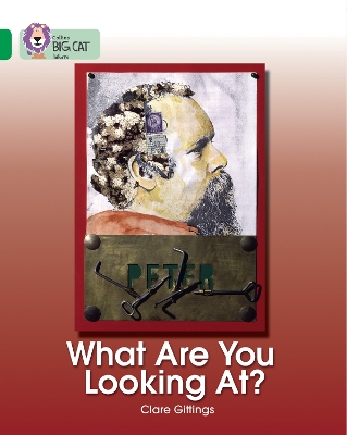 Book cover for What Are You Looking At?