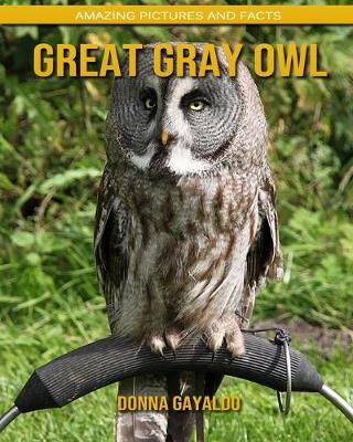 Book cover for Great Gray Owl