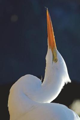 Book cover for Profile of a Beautiful Great Egret Journal