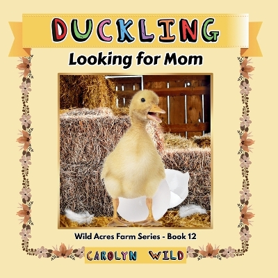 Cover of Duckling