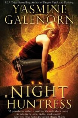 Cover of Night Huntress