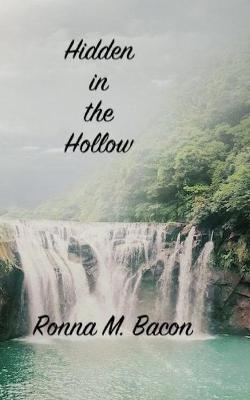 Book cover for Hidden in the Hollow