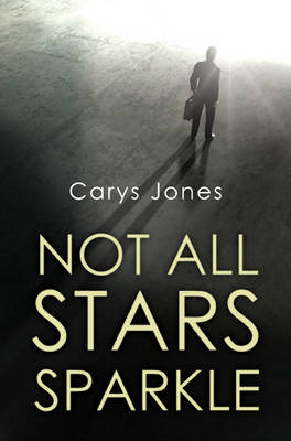 Book cover for Not All Stars Sparkle