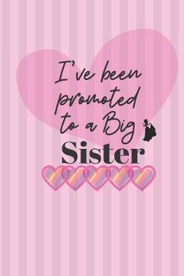 Book cover for I've been promoted to a Big Sister