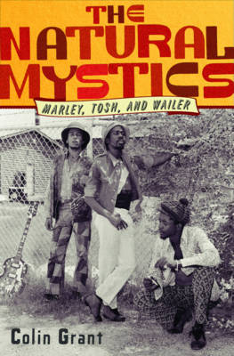 Book cover for The Natural Mystics