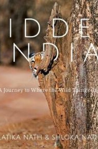 Cover of Hidden India